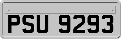 PSU9293