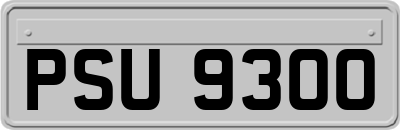 PSU9300