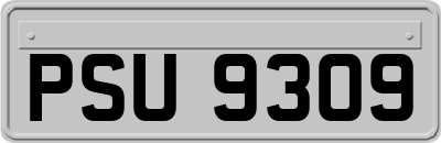 PSU9309