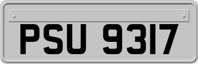 PSU9317