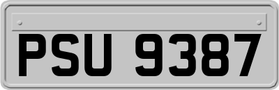 PSU9387