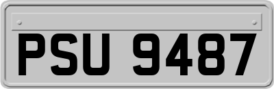PSU9487