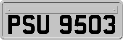 PSU9503