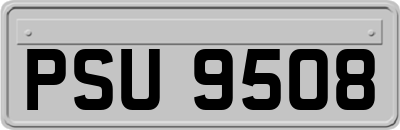 PSU9508