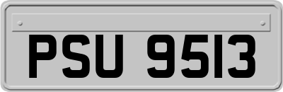 PSU9513