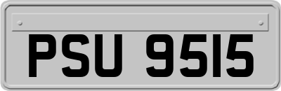 PSU9515