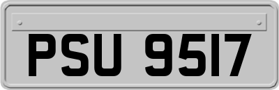 PSU9517