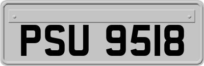 PSU9518