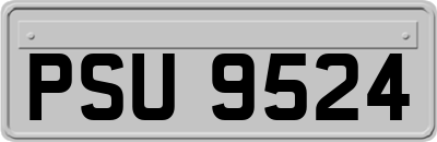 PSU9524