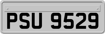 PSU9529