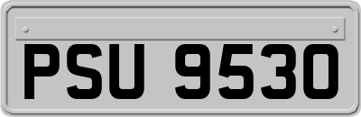 PSU9530