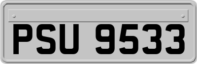 PSU9533