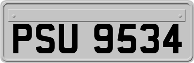 PSU9534