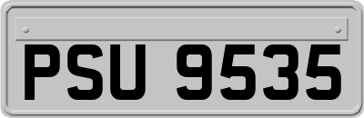 PSU9535