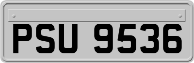 PSU9536