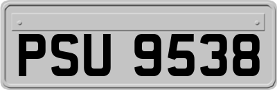 PSU9538