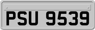 PSU9539