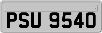 PSU9540