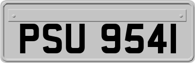 PSU9541