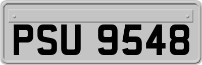 PSU9548
