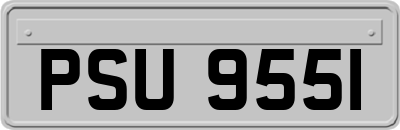 PSU9551