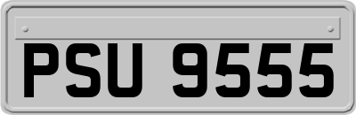 PSU9555
