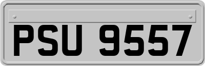 PSU9557