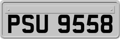 PSU9558