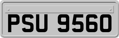 PSU9560