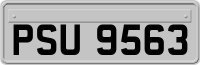 PSU9563