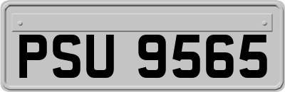 PSU9565