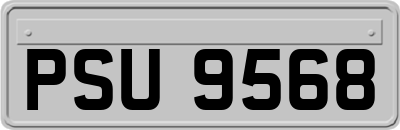PSU9568