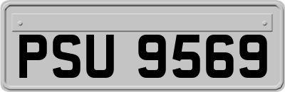 PSU9569