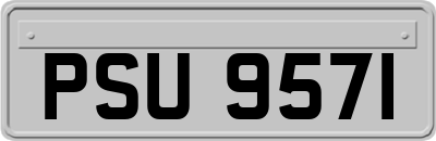 PSU9571