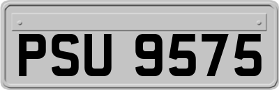 PSU9575
