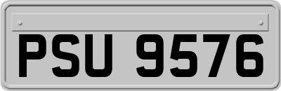 PSU9576