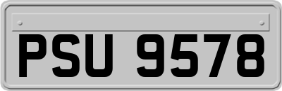 PSU9578