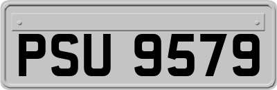 PSU9579