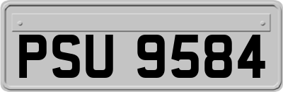 PSU9584
