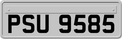 PSU9585
