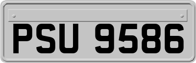 PSU9586