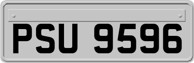 PSU9596