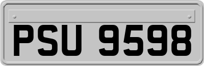 PSU9598