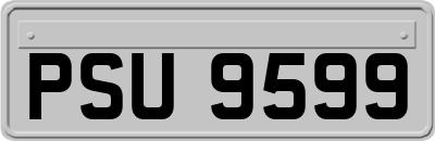 PSU9599
