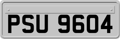 PSU9604