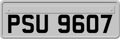 PSU9607