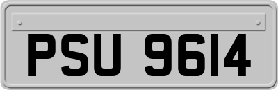 PSU9614