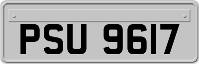 PSU9617