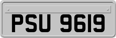 PSU9619