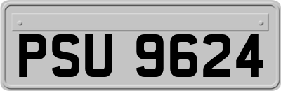 PSU9624